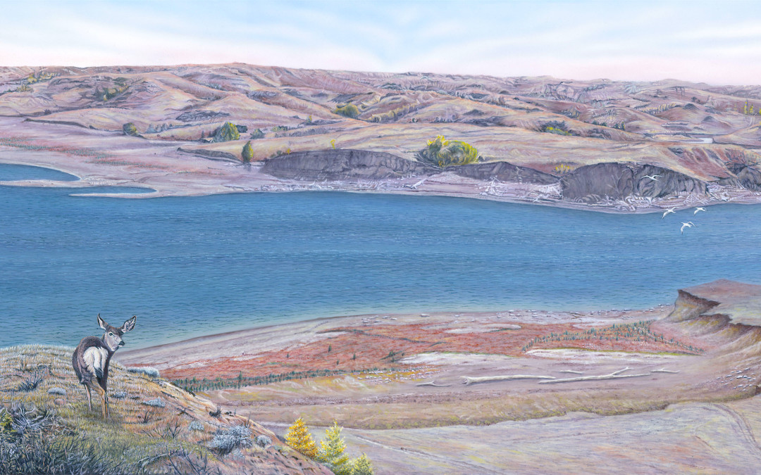 Sakakawea Splendor