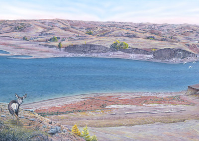 Sakakawea Splendor