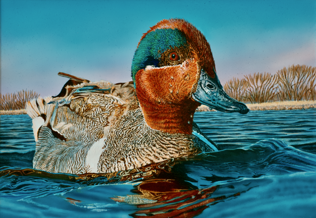 2022 Federal Duck Stamp