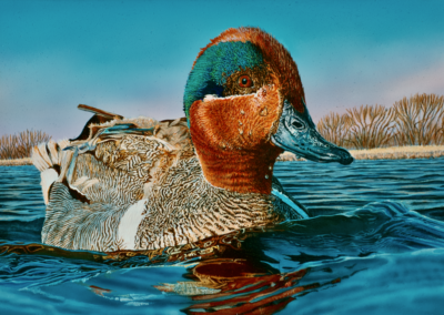 2022 Federal Duck Stamp